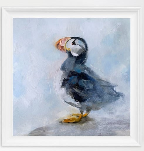 Puffin