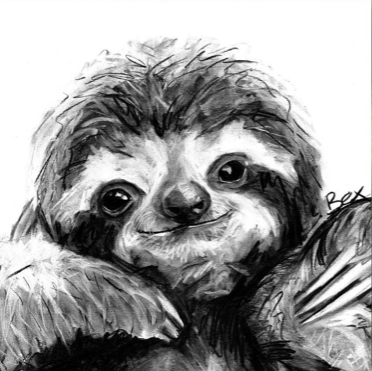 Sloth