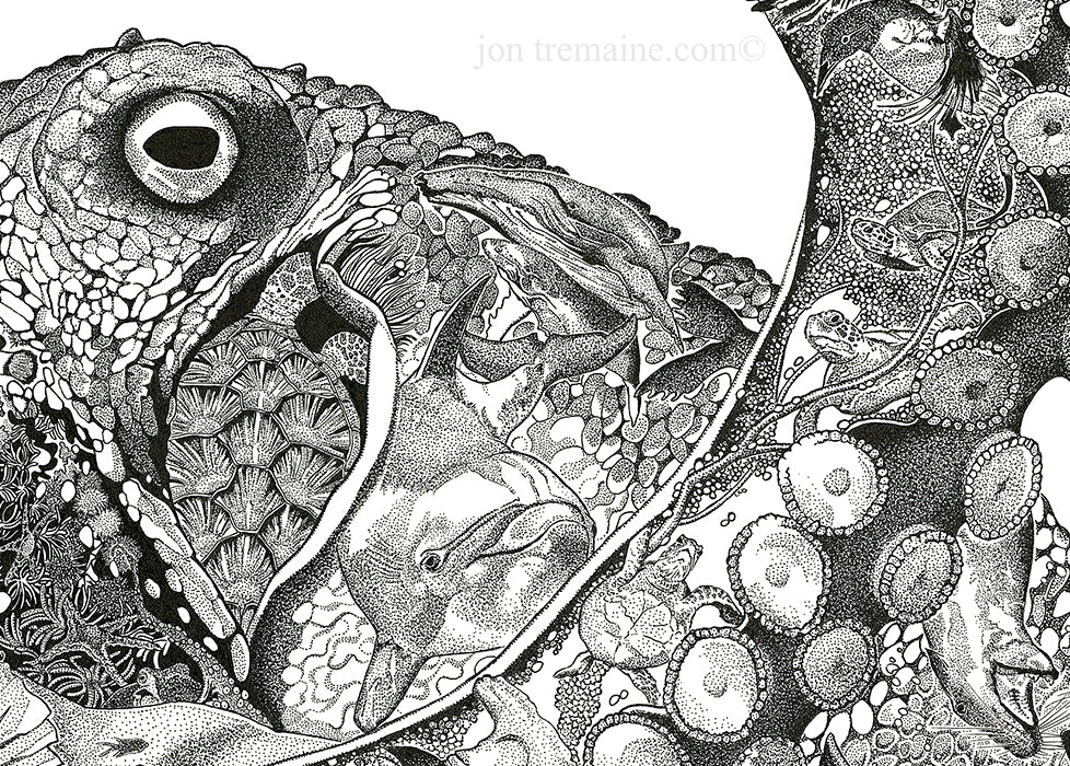 Octopus - Limited Edition Print