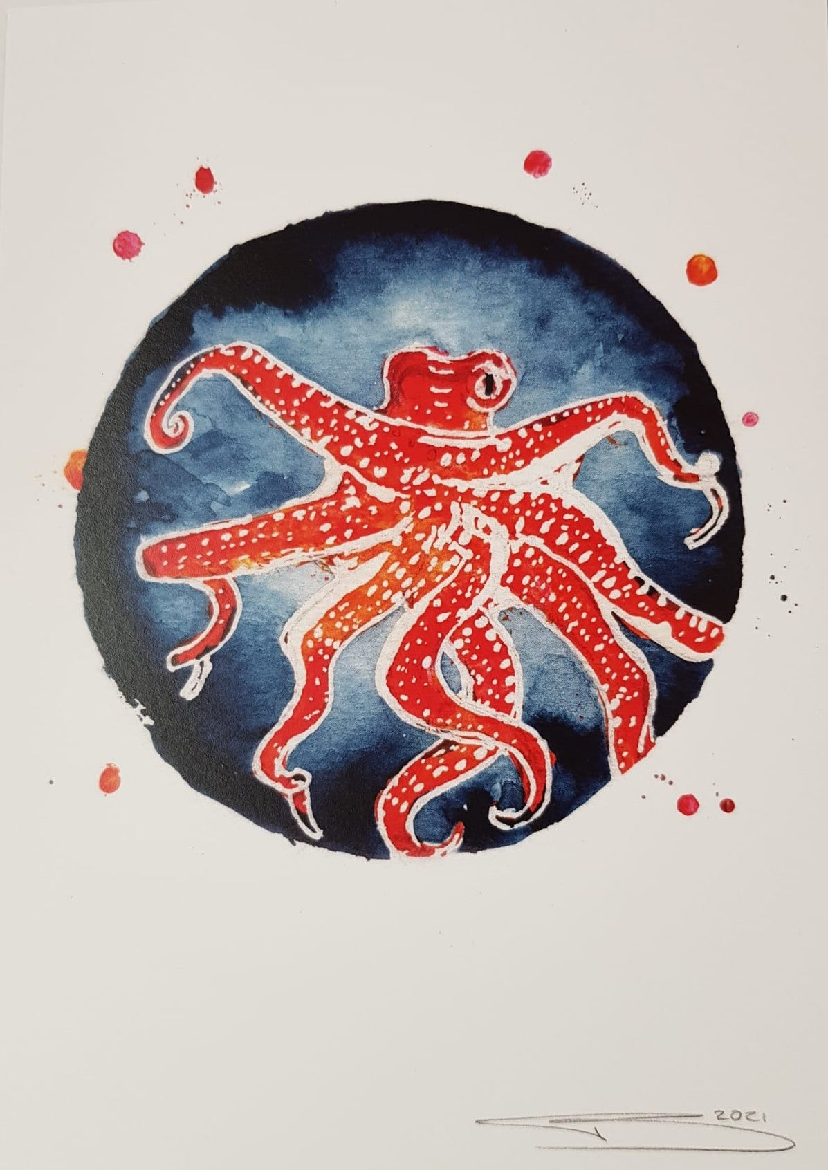 Octopus