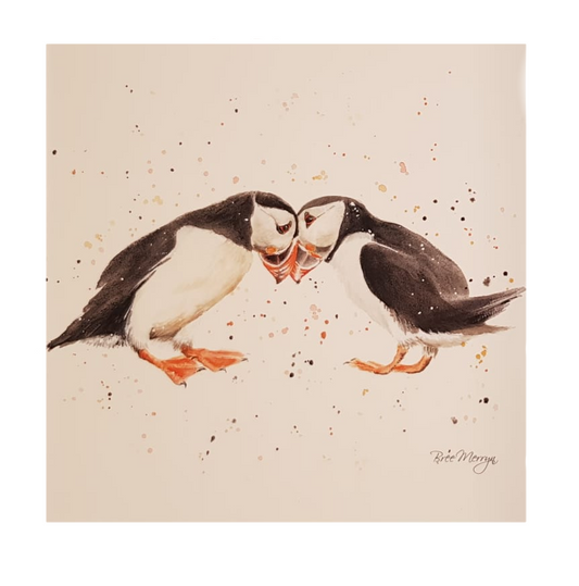 Puffin passion