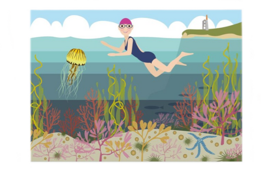 Sea Swimmer **