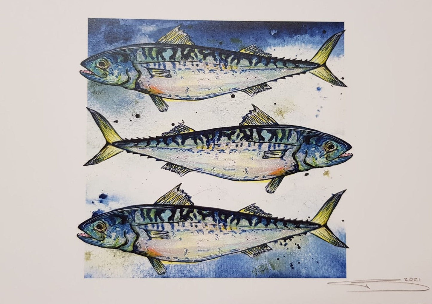 3 Mackrel