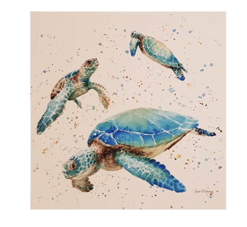 Turtle Tribe