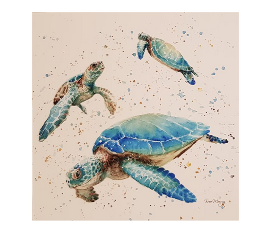 Turtle Tribe