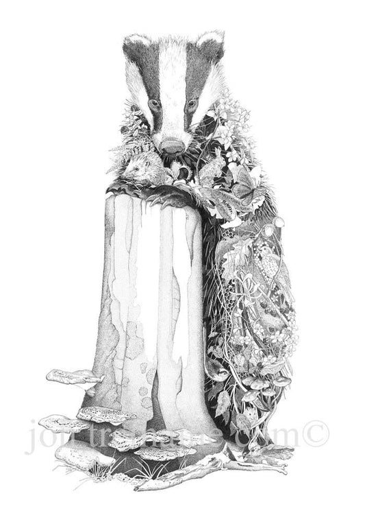 Badger - Jon Tremaine - Open Edition Print