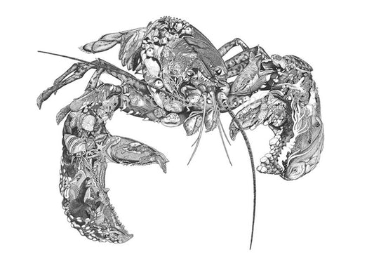 The Lobster - Canvas print