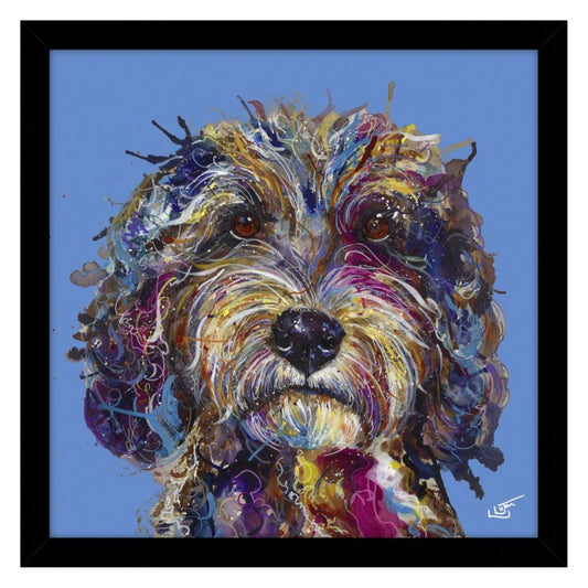 Cockapoo - large