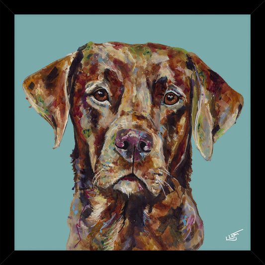 Red Fox Lab - Small