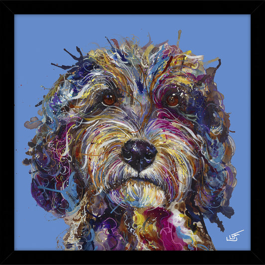Cockapoo - Small