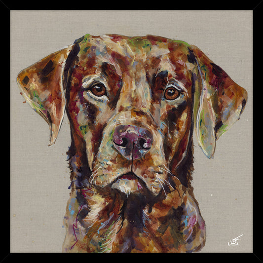 Red Fox Lab - Large