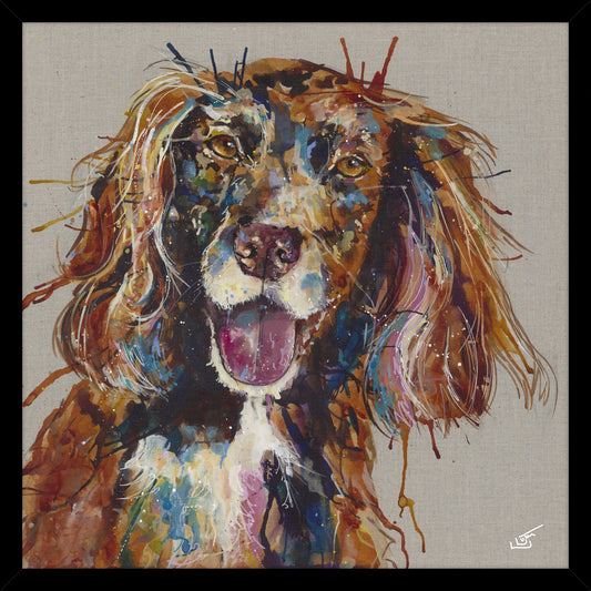 Spaniel - Large