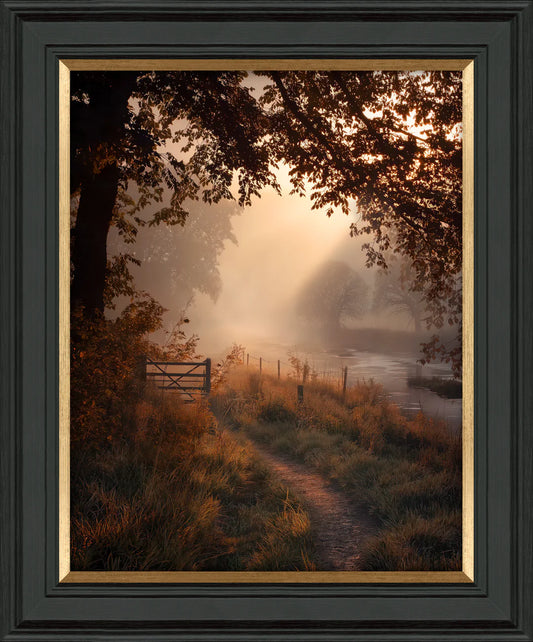 Falling Light I