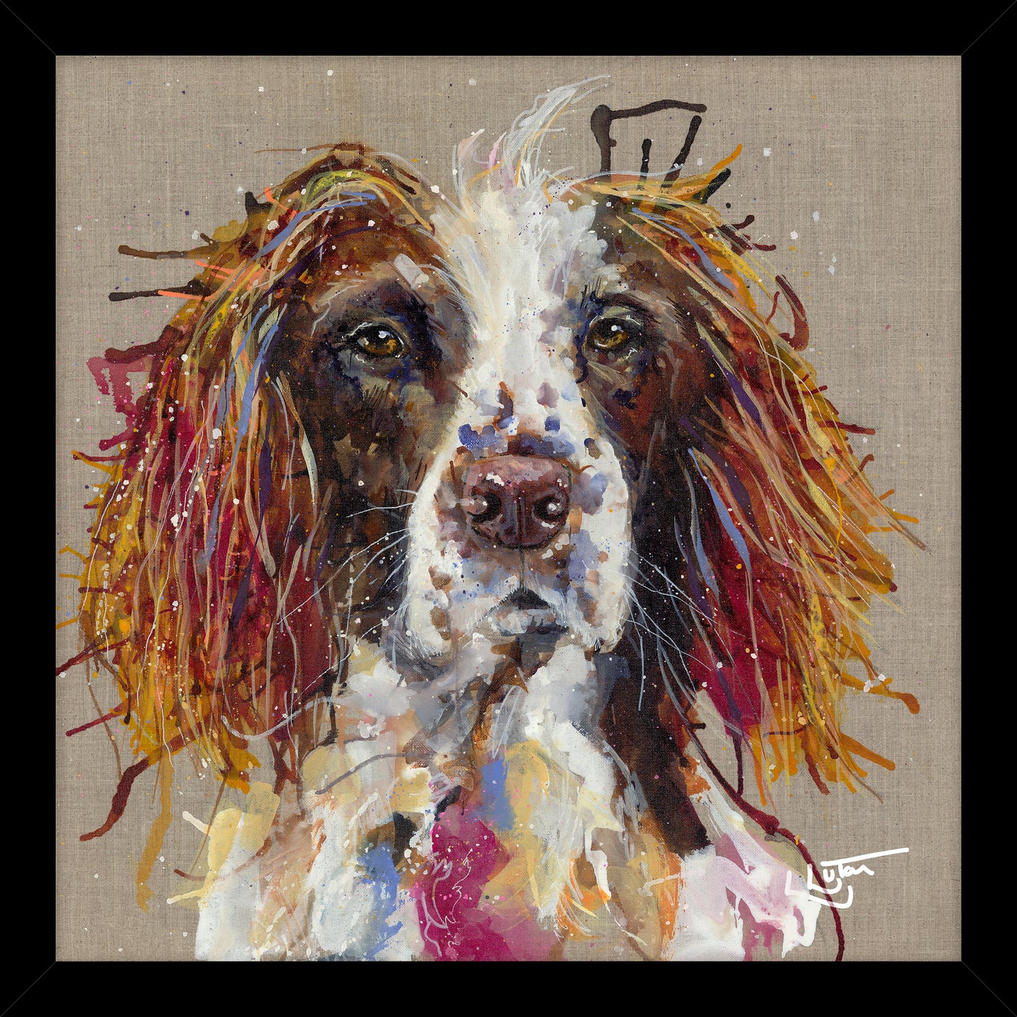 Spaniel