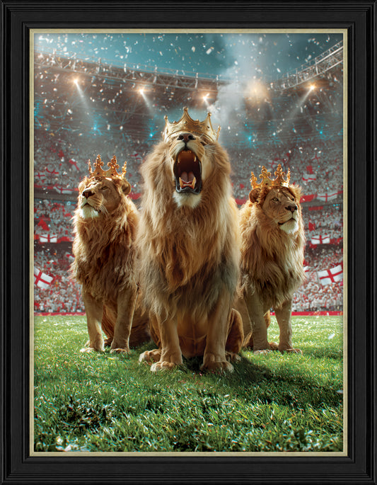 Kings Of The Pitch
