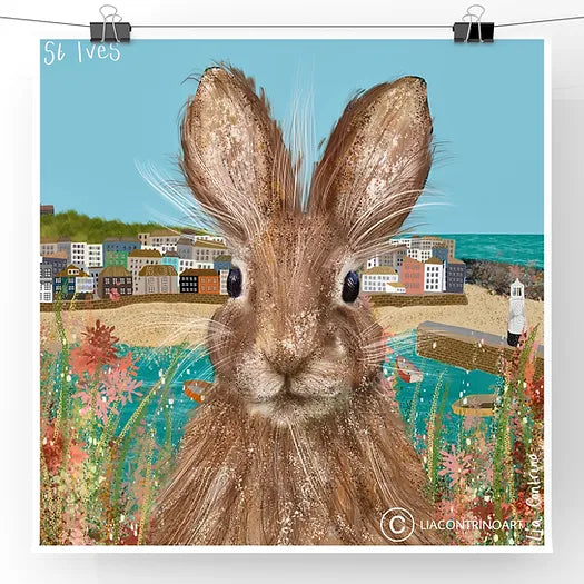 Brown Rabbit, St Ives - Card