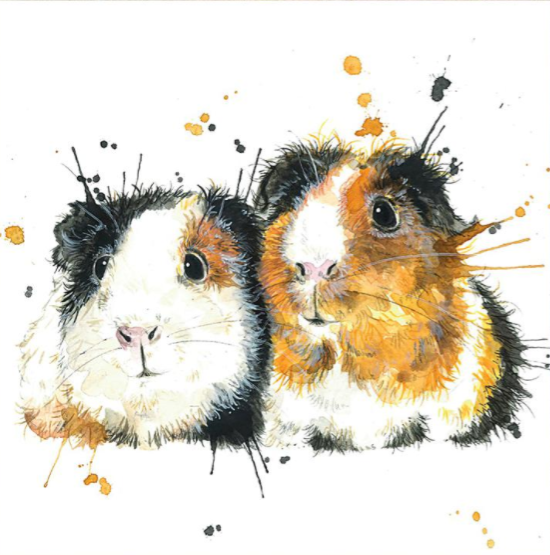 Splatter guinea pigs
