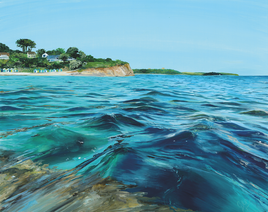 Swanpool Beach (Ocean Headland View)