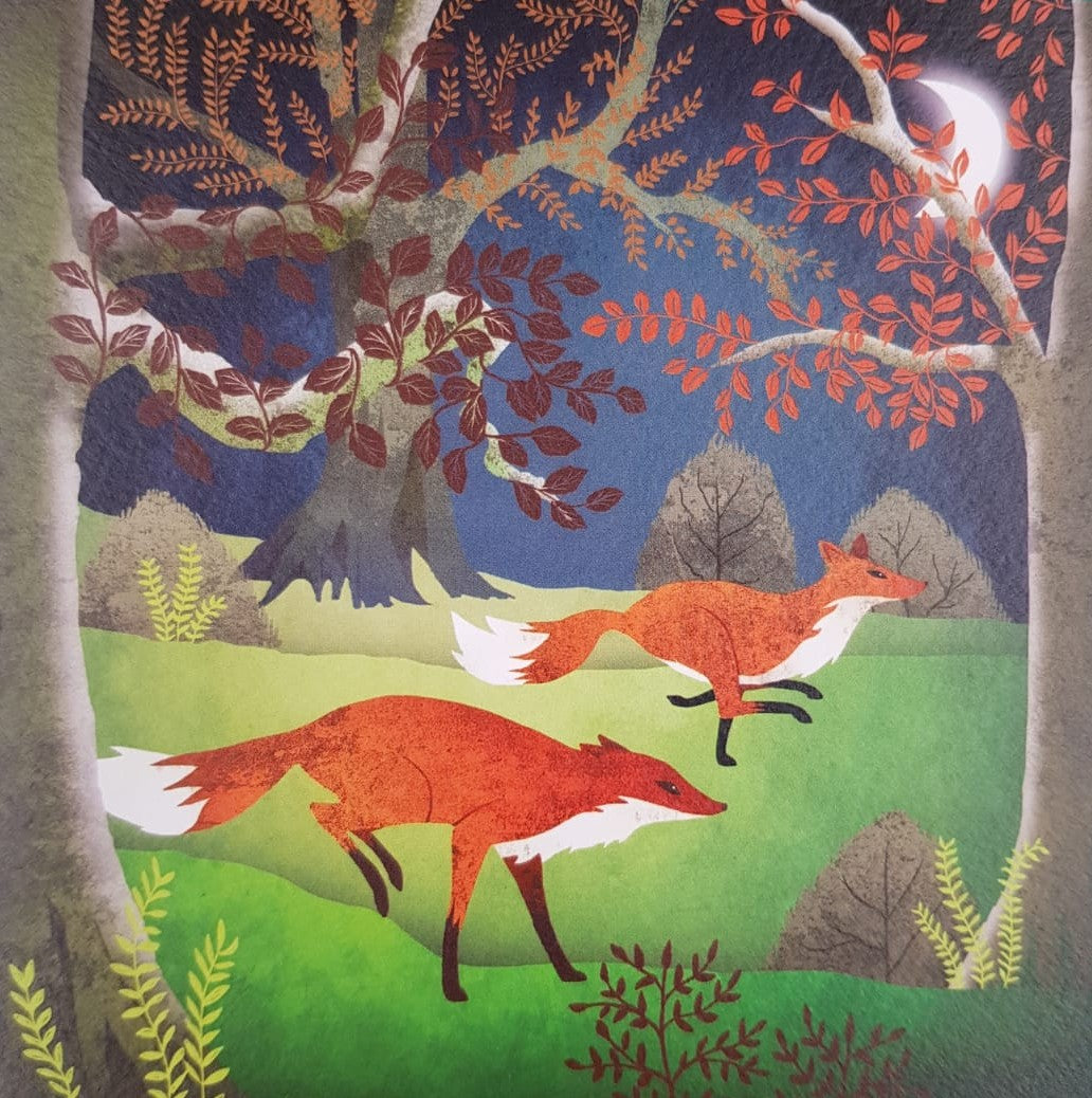 Foxes in the Woods