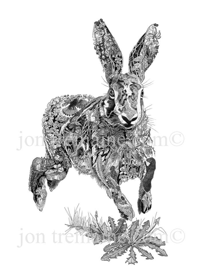 Running Hare - canvas print