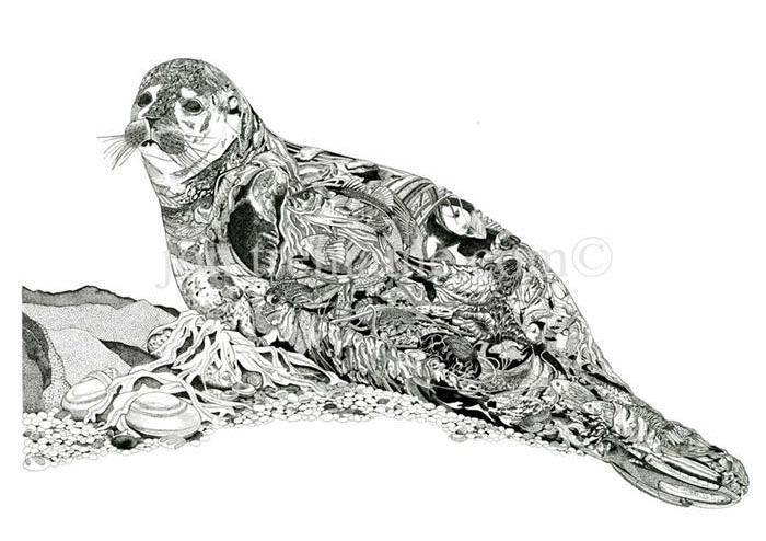 The Seal - Open Edition Print